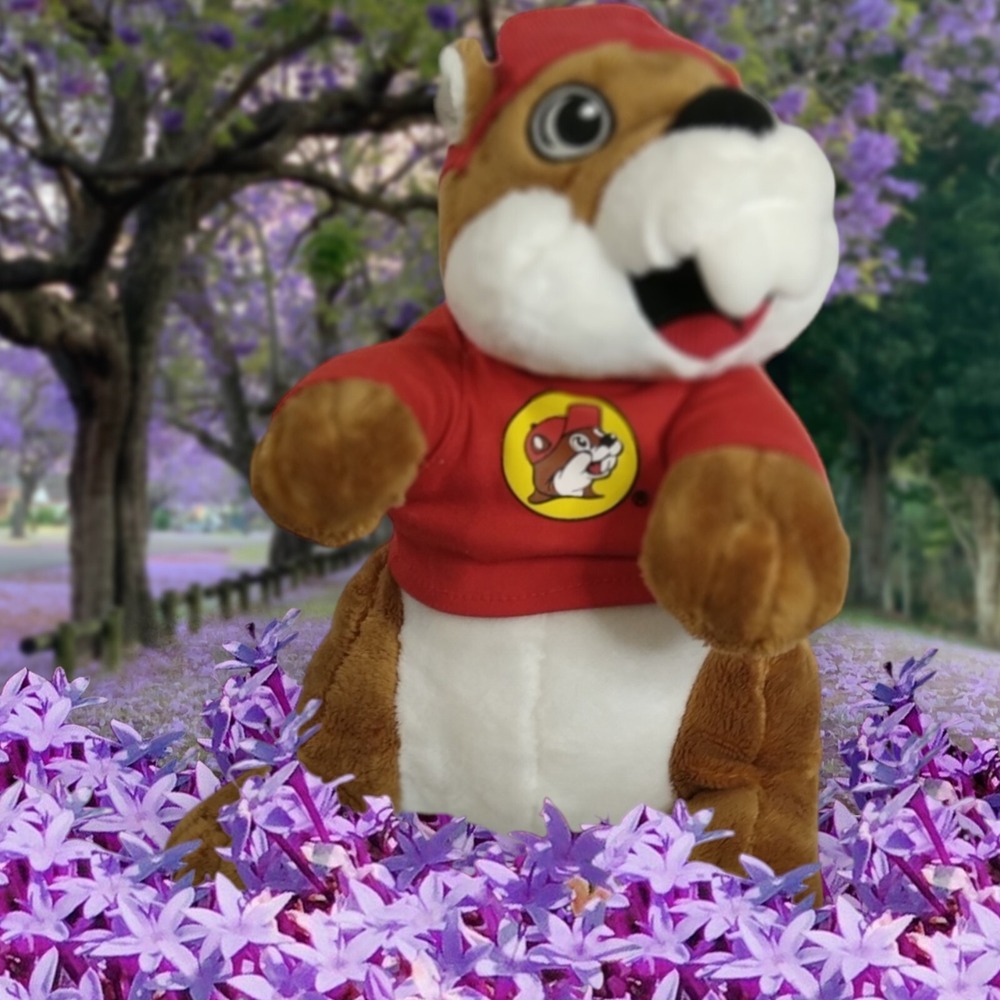 Buc-ees Beaver Mascot Red Shirt Hat 11" Tall Plush Stuffed Animal Toy